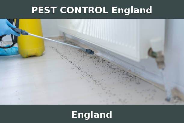 PEST CONTROL England
